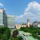 국제통합건강연구소 이미지