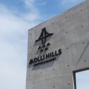 몰리힐스(MOLLI HILLS) | 거제도 장목면 - 몰리힐스 (MOLLI ♥ HILLS)