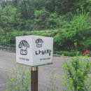 강천산 나비잠 이미지