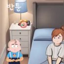 이뽀라 이미지