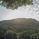 엔학고레 이미지