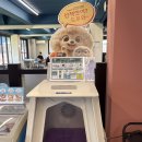 도그와트 이미지