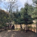 계남공원(배드민턴장) 이미지