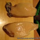 가이덴스시 이미지