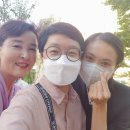 송도OK공인중개사사무소 Daum카페