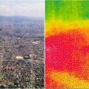 경보 월드 이미지