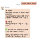 오또케이크 이미지