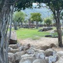 황금빛 목장 이미지