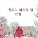 12월1일 신문을 통해 알게된 이야기들 이미지