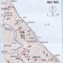 241 이미지