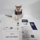 [서포터즈]집에서 하는 고양이 건강검진, 치즈의 벳 케어 플러스 후기