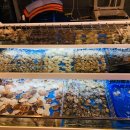 중앙동174 이미지