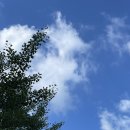 제신약국 | 어.어.난데.블챌하는중이야.어.어.끈어.