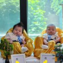 떡마차 | 네버엔딩 셀프 백일잔치_백일상 셀프로 꾸미기