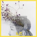 성민유치원 네이버블로그