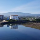 동홍오일장입구 3가 4 | 4. 제주도 자전거 한바퀴 하루에 끝내기 1/4 지점