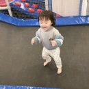 코봉키즈