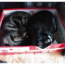 (주)태무 이미지