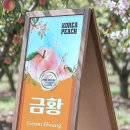 디어스 두번째이야기 이미지