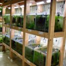 소마 새우농장 이미지