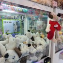 TOP뽑기방 이미지