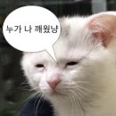 뷰티쏘유