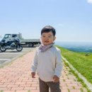 고원목장(2) 이미지