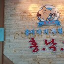 홍.낙.제 이미지