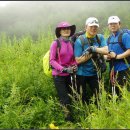 초원꽃화원 이미지