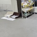 땡일리 애견 유치원 이미지