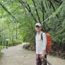 260620 의상봉,흑표범바위 이성식 대장 이미지