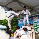 신안태권도체육관 이미지