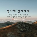 [데살로니가전서 5:18] 범사에 감사하라 이는 그리스도 예수 안에서 너희를 향하신 하나님의 뜻이니라 이미지