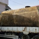 신안주유소 이미지