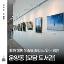 치킨래빗 잃어버린 보물을 찾아서 | 책과 예술이 머무는 김포 모담도서관 1월 전시 안내