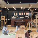 13번째고양이 이미지