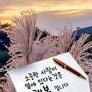 교황님의 글이 좋아서 이미지