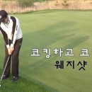 골프신지환 이미지