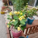 설곡리 마을회관 이미지