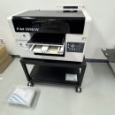 P.ART (피아트)