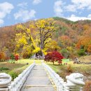 용계초등 이미지