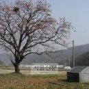 자연알로(광덕) 네이버블로그