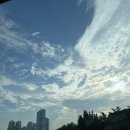 양재숲연세정형외과의원 | 양재숲 연세정형외과 의원