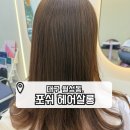 포쉬헤어살롱 - 달서구 | 포쉬헤어살롱