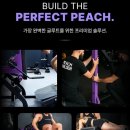 피치밸리 | 완벽한 글루트를 위한프리미엄 솔루션💜피치빌더💜의 첫번째 공개워크샵 참가후기