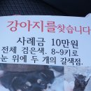 주안4동 이미지