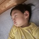 안산시육아종합지원센터 | 안산시육아종합지원센터 시간제보육 이용후기