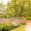 호숫가의 풍경 이미지