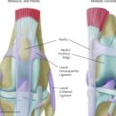 금빛동물병원 이미지