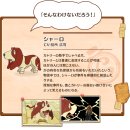 코지부호 이미지